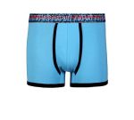 Boxer leaser