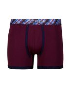 Boxer leaser